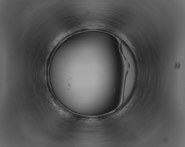 X0000090970986200708241311