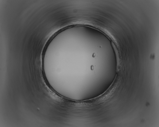 X0000090970988200708241311