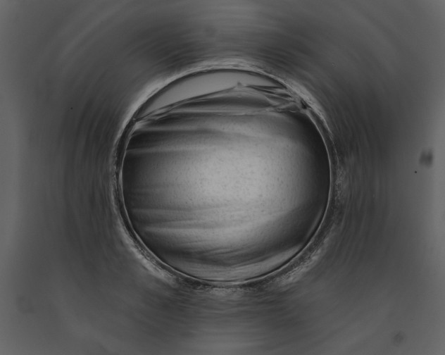 X0000090970989200708241311