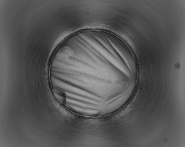 X0000090970990200708241311