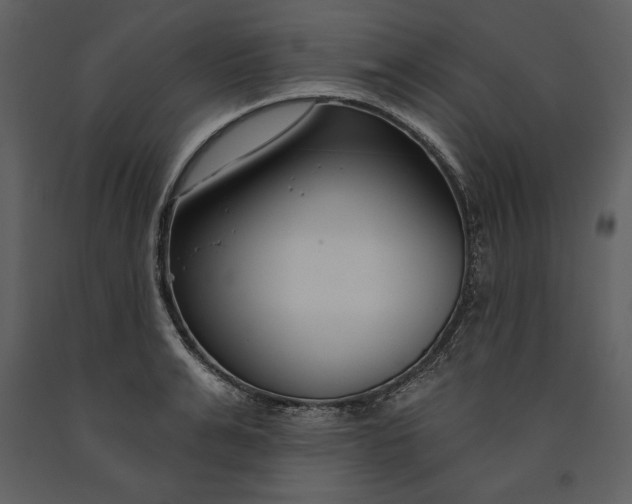 X0000090970991200708241311