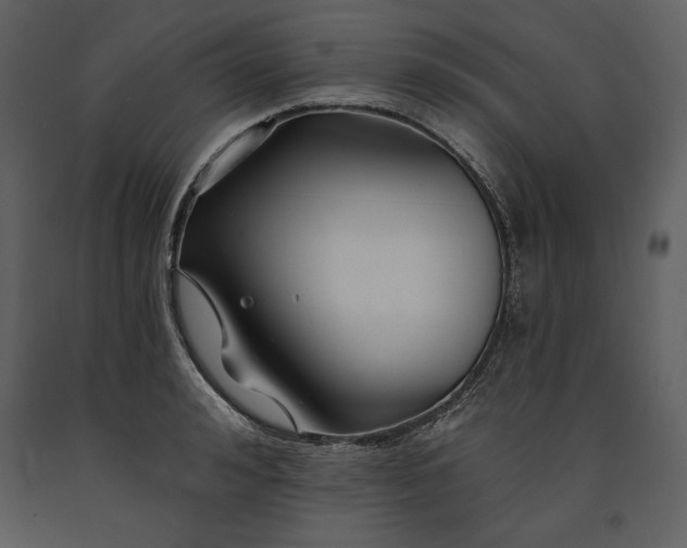 X0000090970992200708241311