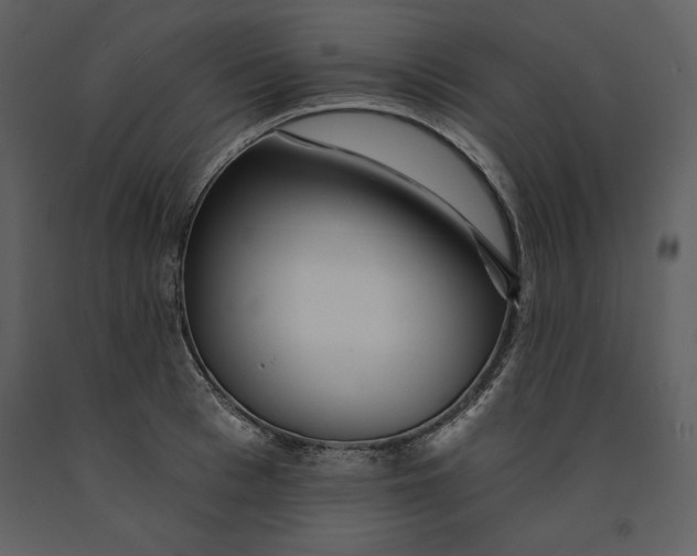 X0000090970993200708241311