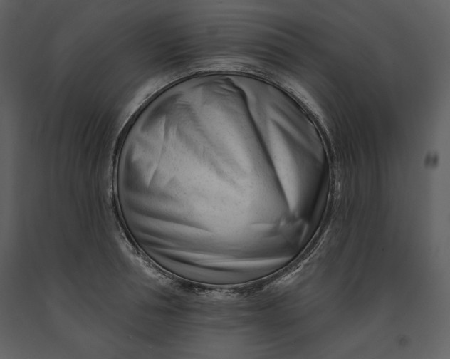 X0000090970994200708241311