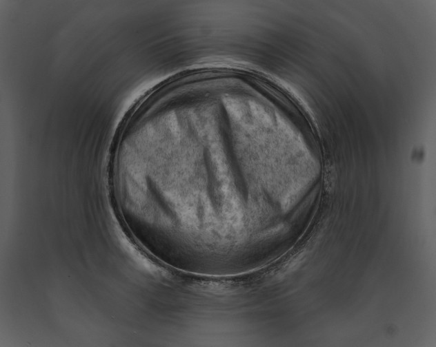 X0000090970995200708241311