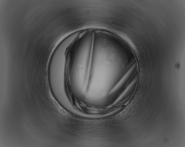 X0000090970996200708241311