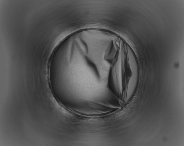 X0000090970998200708241311