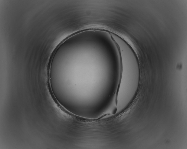 X0000090970999200708241311