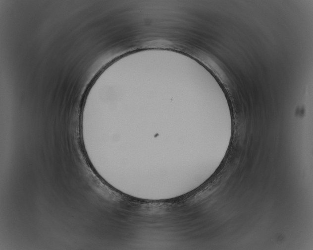 X0000090971000200708241311