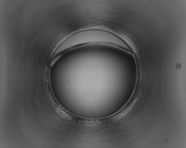 X0000090971001200708241311