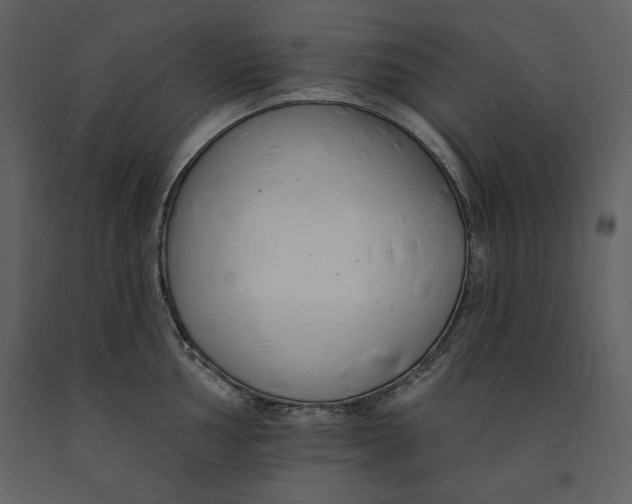 X0000090971002200708241311