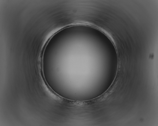 X0000090971003200708241311