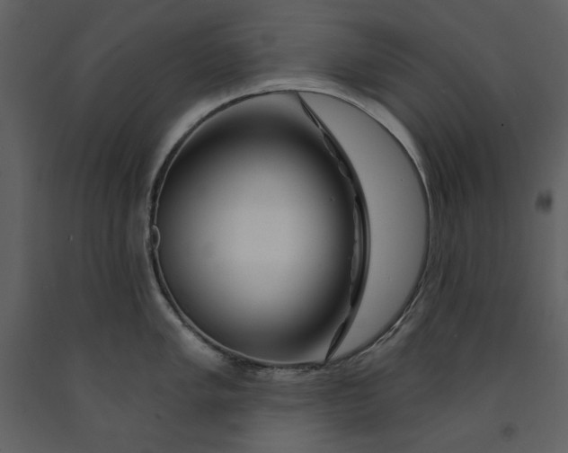 X0000090971005200708241311