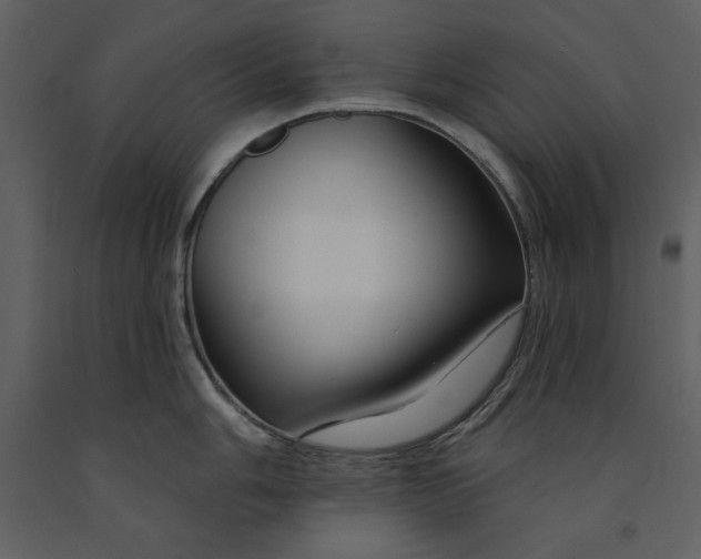 X0000090971006200708241311