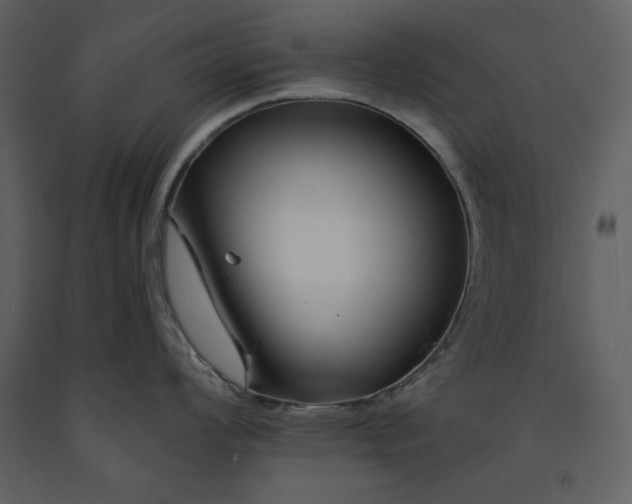 X0000090971008200708241311