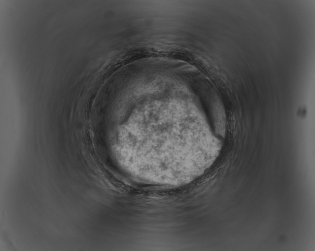 X0000090971009200708241310