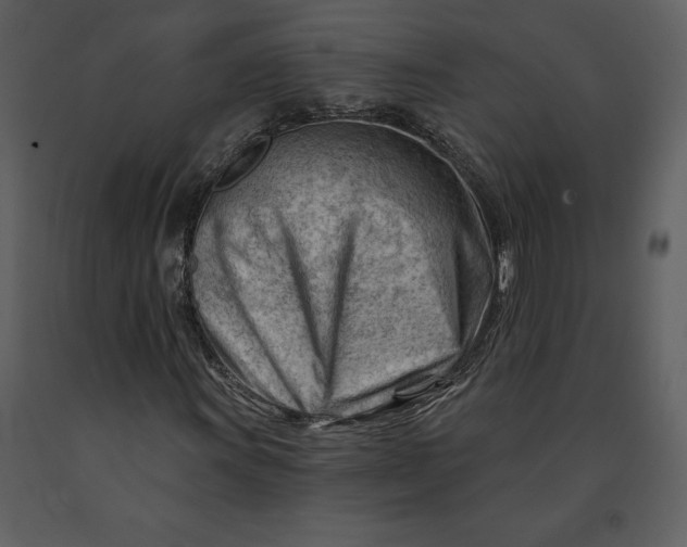 X0000090971011200708241310