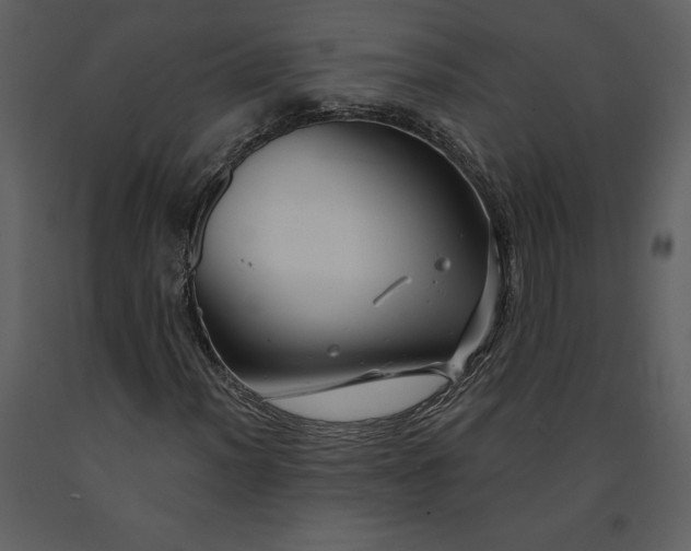 X0000090971012200708241310