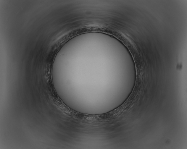 X0000090971015200708241310