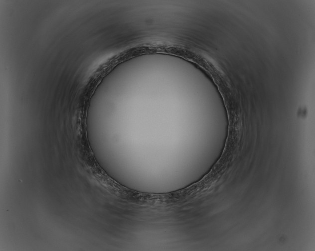 X0000090971016200708241310