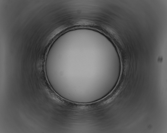 X0000090971017200708241310