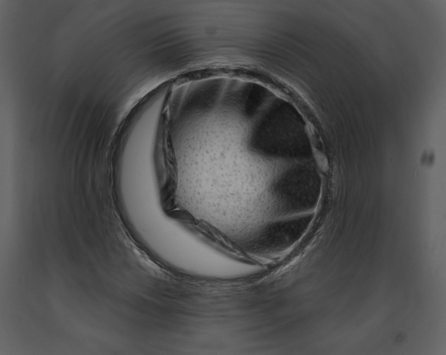 X0000090971018200708241310