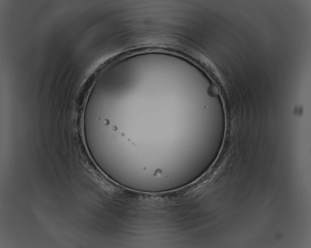 X0000090971019200708241310