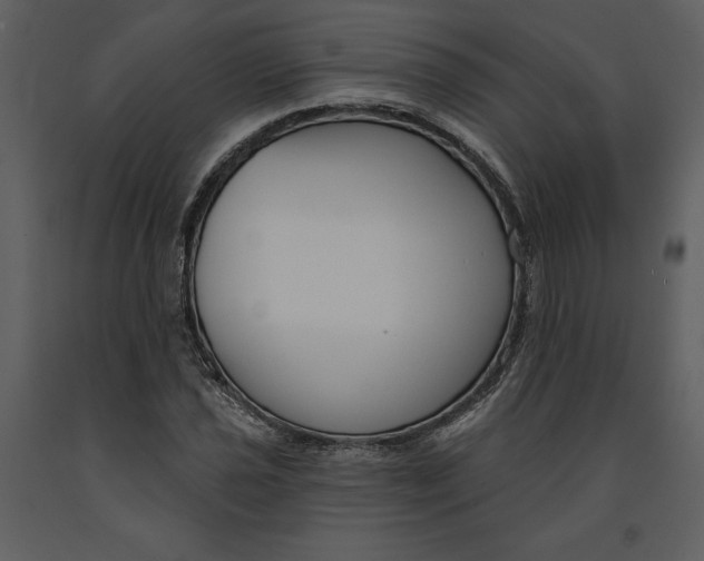 X0000090971021200708241310