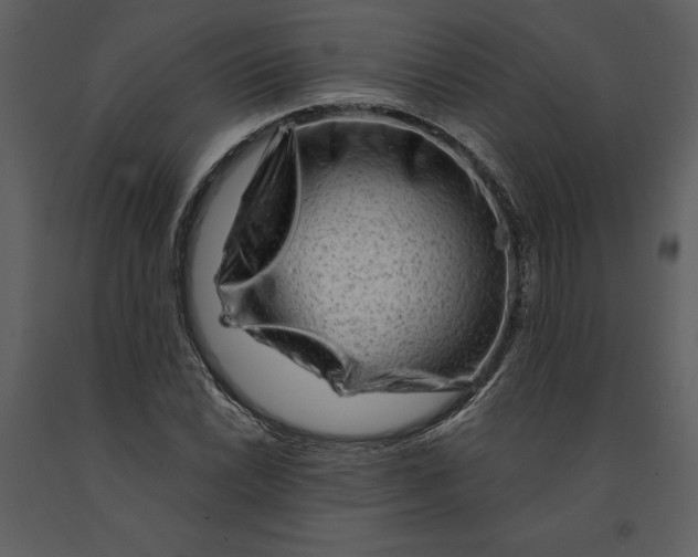 X0000090971022200708241311