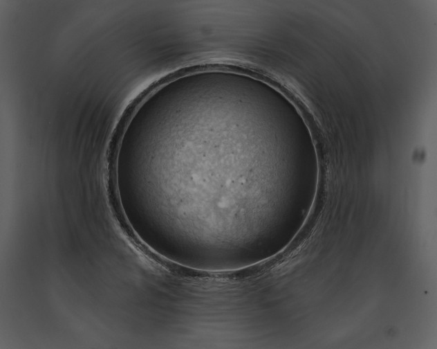 X0000090971024200708241311