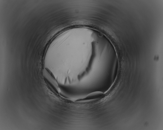 X0000090971025200708241311