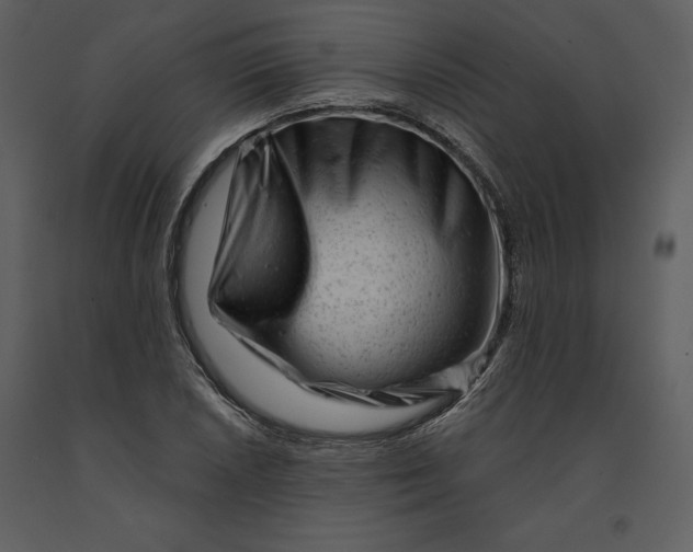 X0000090971026200708241311