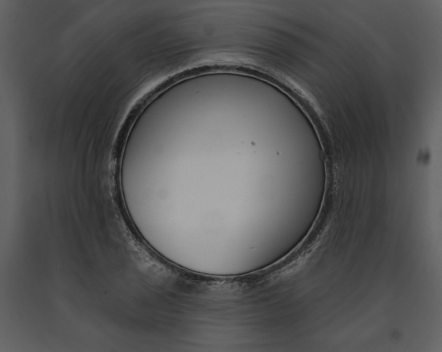 X0000090971029200708241311