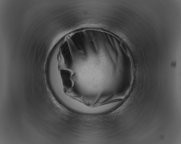 X0000090971030200708241311