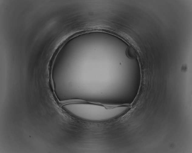 X0000090971031200708241311