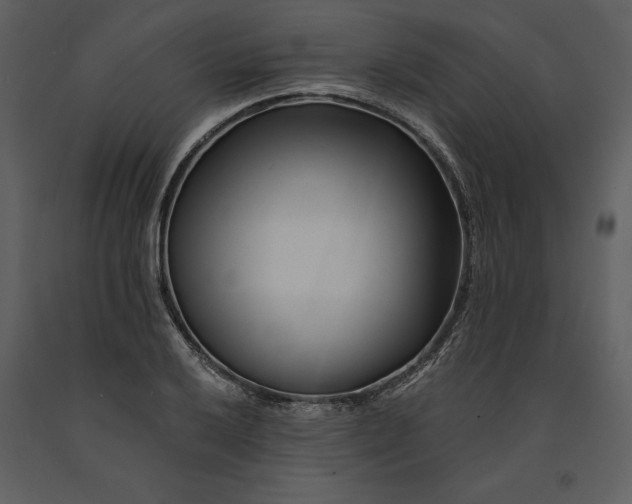 X0000090971032200708241311