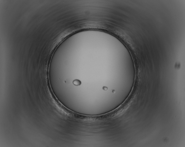 X0000090971033200708241311