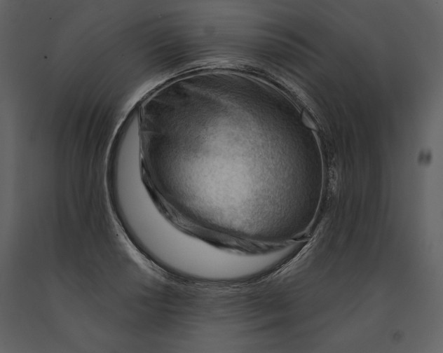 X0000090971034200708241311