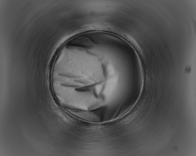 X0000090971035200708241311