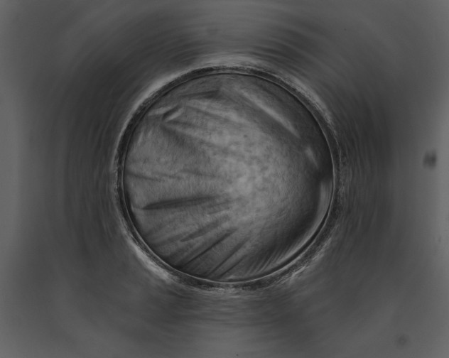 X0000090971037200708241311