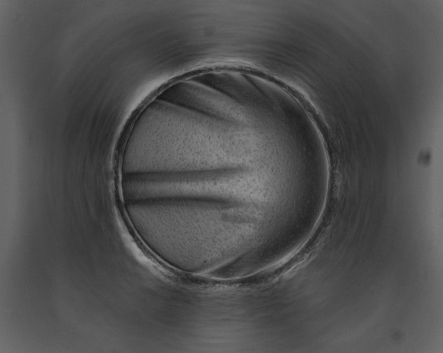 X0000090971038200708241311