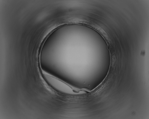 X0000090971039200708241311