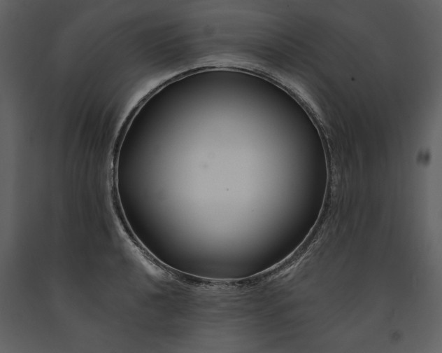 X0000090971040200708241311