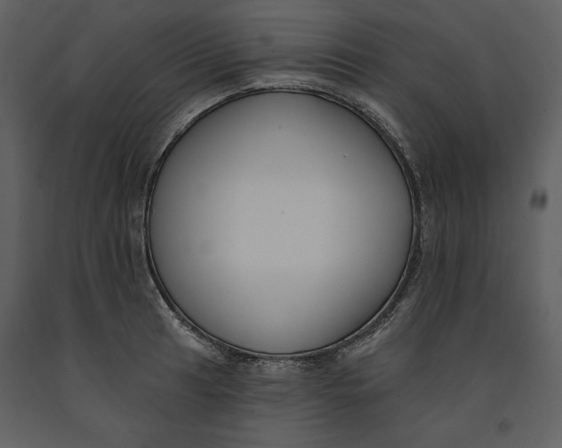 X0000090971041200708241311