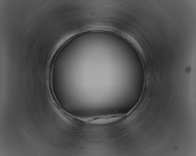 X0000090971043200708241311