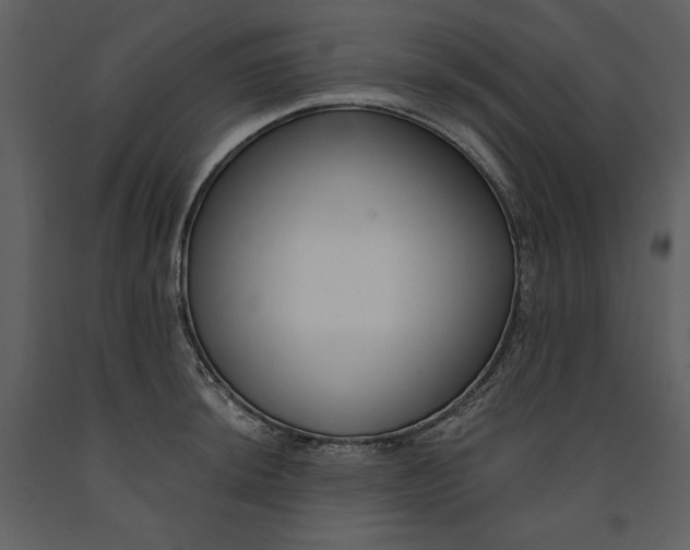 X0000090971044200708241311