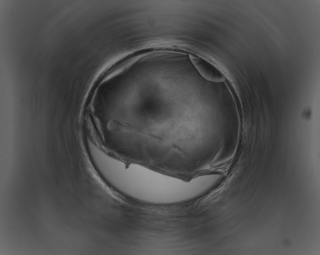 X0000090971045200708241311