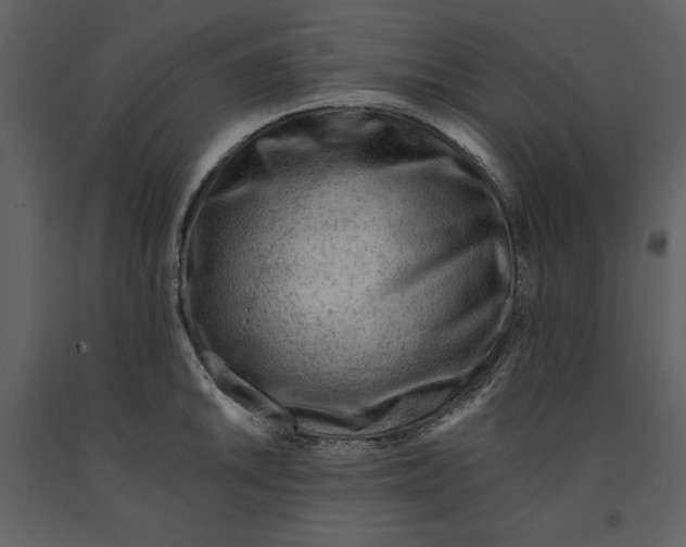 X0000090971046200708241311