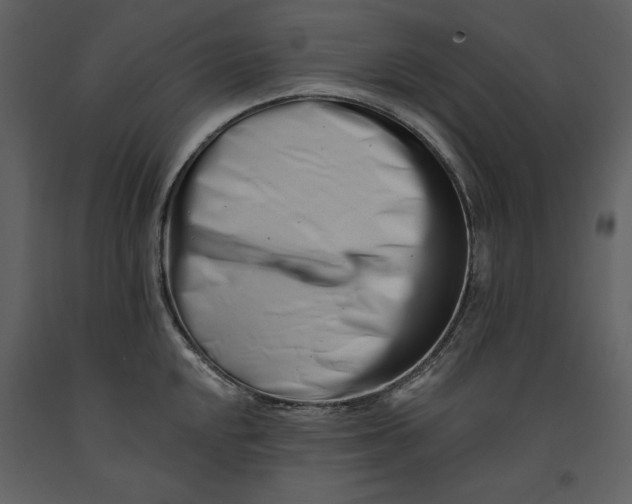 X0000090971048200708241311