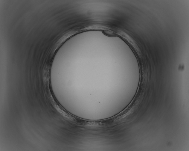 X0000090971049200708241311